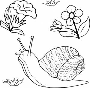 Книжка-раскраска