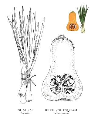 раскраска Жёлудь Растения 0009 Vegetables