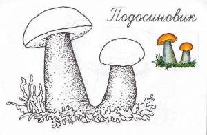 раскрасить грибы