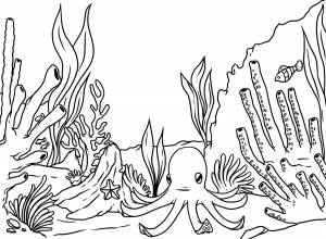 Рисунок морское дно карандашом