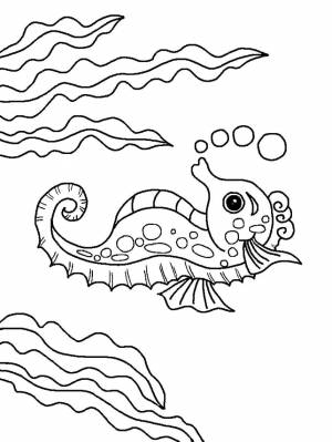 Раскраски Раскраска Водоросли и морской конёк