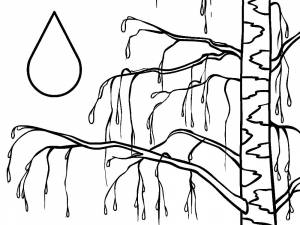 Раскраска Капля