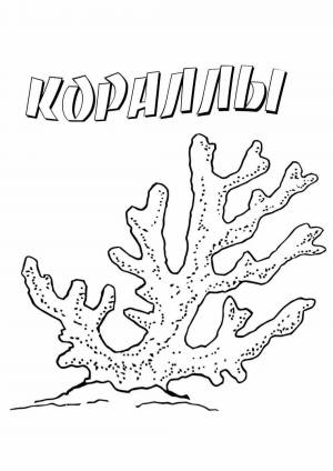 Раскраски Кораллы
