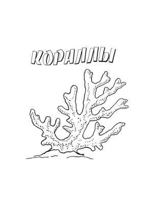 Раскраски Кораллы