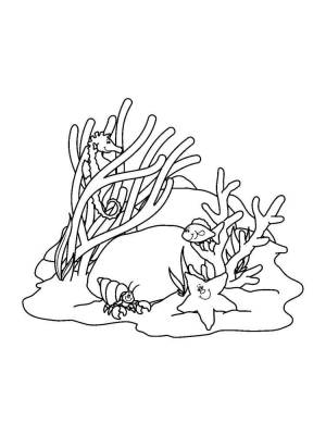 Раскраски Кораллы