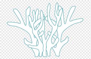 Коралловый Риф, Большой Барьерный Риф, Книжка-раскраска, Рыбы Кораллового Рифа, Море, Рисование, Ребенок, Экосистема, площадь, ветка, ребенок png