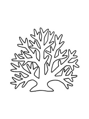 Раскраски Кораллы