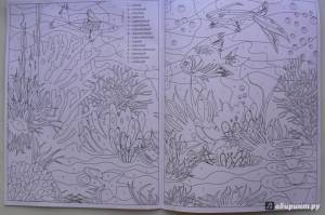 Морской мир