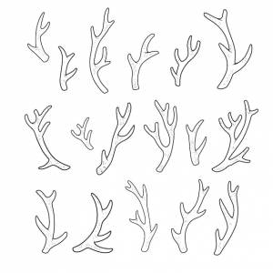 Отдельно кораллы обрисовали в общих чертах версию для раскраски страницы на белом фоне