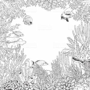Hand drawn underwater natural elements