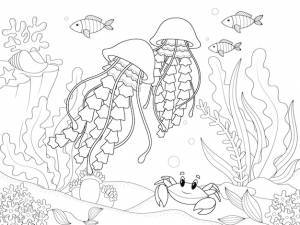 Морские животные морского дна медуза плавает среди водорослей и других рыб раскраска векторных детей