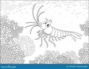 Креветка идя на риф иллюстрация вектора