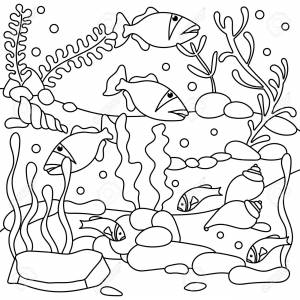 Underwater Coloring Book Page For Adult And Older Children