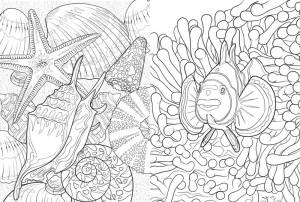 Коралловый риф