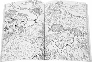 Коралловый риф