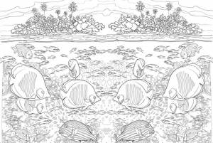 Коралловый риф