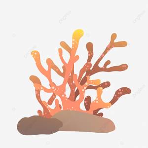 подводный мир красный коралл PNG , коралловый клипарт, океан, морское дно PNG картинки и пнг PSD рисунок для й загрузки