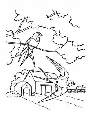 Раскраски Весенний пейзаж