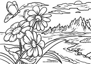 Картинки пейзаж лета раскраски