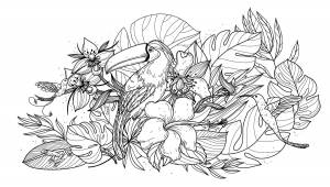 Раскраски сложные цветы