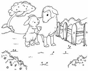 Раскраска «Барашки весной»