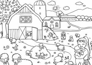 Раскраска «Барашки на ферме»