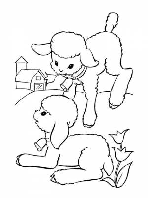 Картинка Барашек раскраска на листе  онлайн