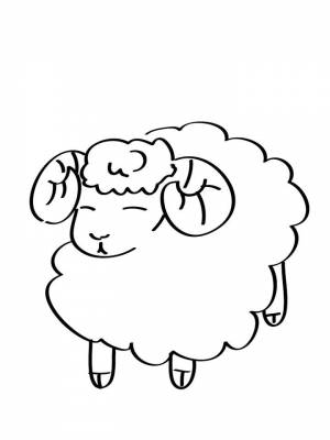 Картинка Барашек черно белая для мальчиков