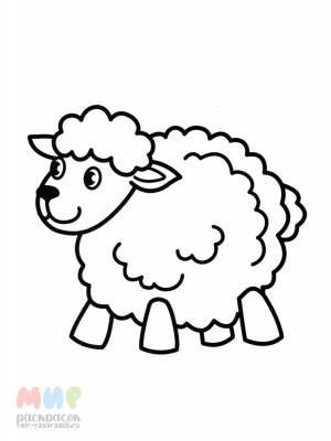 Раскраска Овечка беее
