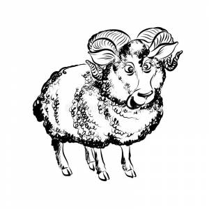 смешная баранина с круглым телом Иллюстрация вектора