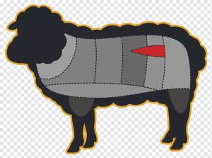 Собака породы Барашек Ягненок и баранина Лошадь Крупный рогатый скот, Баранина Баранина, лошадь, млекопитающее, плотоядный png