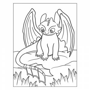 Раскраска Дракон Ночная фурия