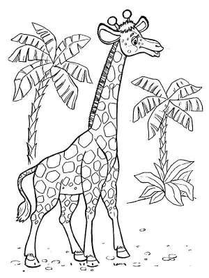 Раскраски Раскраска Жираф Животные, Download print coloring page