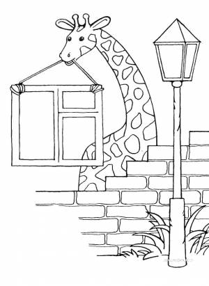 Раскраски Раскраска Жираф строит Животные, Download print coloring page