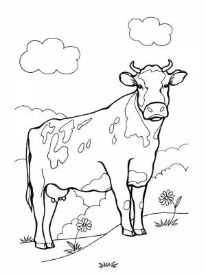 Раскраски Корова для детей   в формате