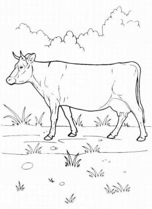 Раскраски животные, Раскраска Рисунок корова домашние животные