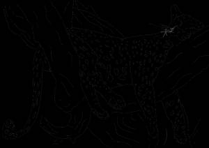 Раскраска Леопард на дереве