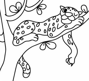 Раскраска Леопард на ветке