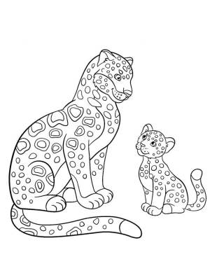 Раскраски Леопард