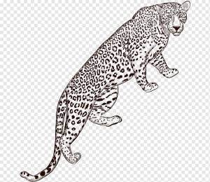 Леопард Ягуар Евклидов, ручная роспись леопарда, акварельная живопись, млекопитающее, нарисованное png