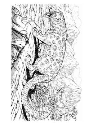 Раскраски Ягуар