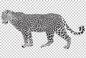 Ягуар Леопард Гепард, Пятнистый леопард, млекопитающее, окрашенные, животные png
