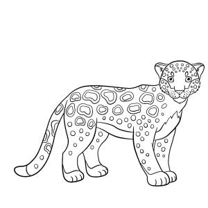 Раскраска Ягуар