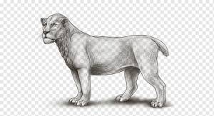 Собака и кошка, Лев, Леопард, Гепард, Штриховая графика, Рисование, Рев, Мужчина, Черное и белое, кошка, гепард png