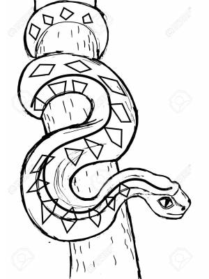 Coloring Page With Anaconda