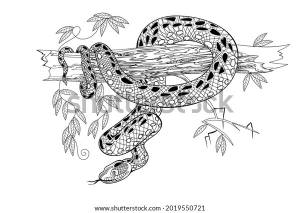 Illustration Dangerous Anaconda Snake On Tree