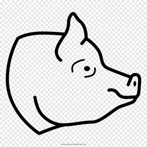 Домашняя свинья Книжка-раскраска Drawing Line art, cerdo, белый, лицо, текст png