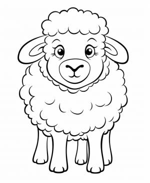 Раскраска овечка, овца для детей 4, 5, 6, 7, 8 лет