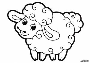 Раскраска Овечка