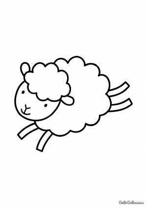 Раскраска Овечка для малышей
